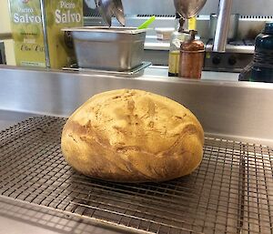 Sourdough bread on a cutting board