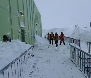 Four expeditioners standing on a partially cleared walkway