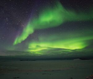 Green aurora in night sky above sea ice off station