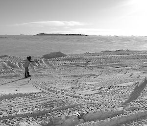 Expeditioners standing on a rectangular pitch throwing wooden blocks with icebergs in background