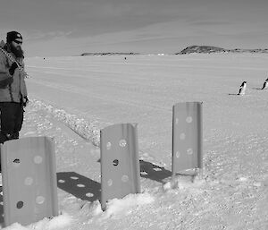 Expeditioner standing with a hand drill over his shoulder as three penguins march past nearby