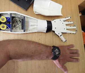 A plastic 3D printed arm positioned next to a human arm
