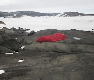 An expeditioner asleep inside a sleeping bag out in the open spaces of Antarctica
