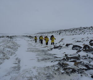 The group of survival training expeditioners on the track to Brooks hut