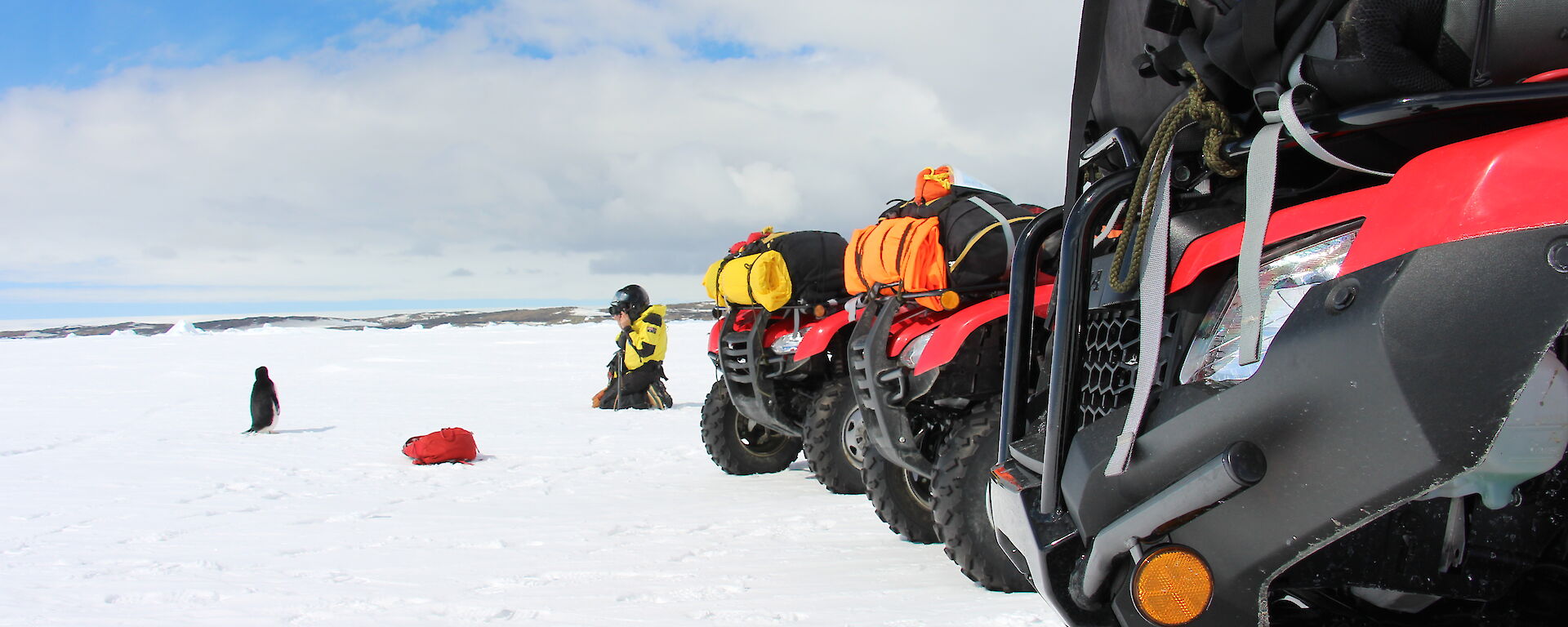 A penguin in front of three quad bikes