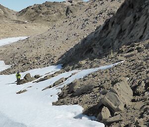 Expeditioner looking under rocks for petrel nests