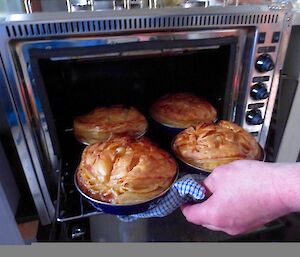 Four meat pies are removed from a small oven inside an Antarctic field hut