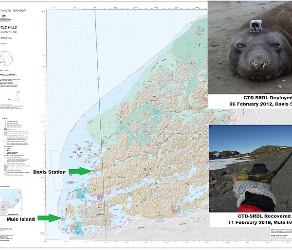 Elephant seal with CTD-SRDL device fitted, CTD-SRDL device found, and map of the Vestfold Hills showing deployment and recovery site
