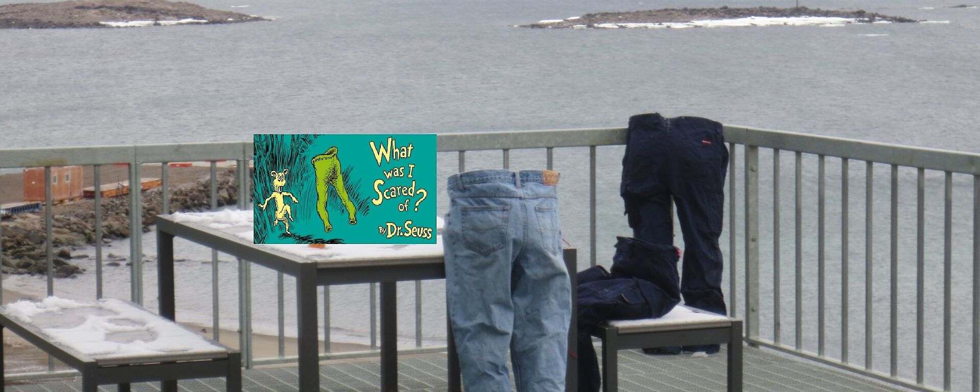 Three pairs of frozen jeans displayed as if being worn on the deck at Davis