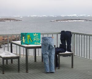 Three pairs of frozen jeans displayed as if being worn on the deck at Davis