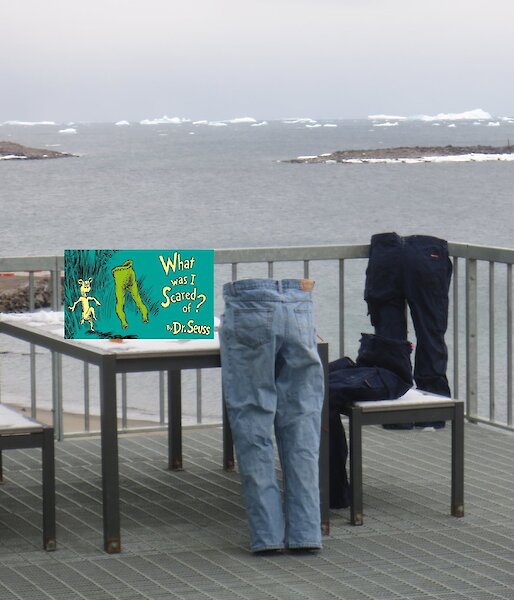 Three pairs of frozen jeans displayed as if being worn on the deck at Davis