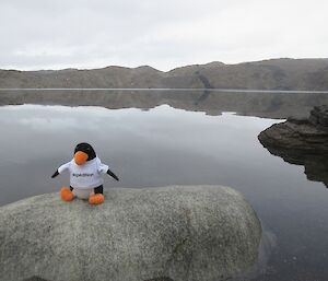 A toy penguin on a rock in front of Deep Lake which is 51 metres below sea level and is the lowest accessible place in Antarctica