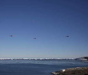 The three B3 helicopters in the sky above Davis Station after delivering everyone to Whoop Whoop for the Hercules flight