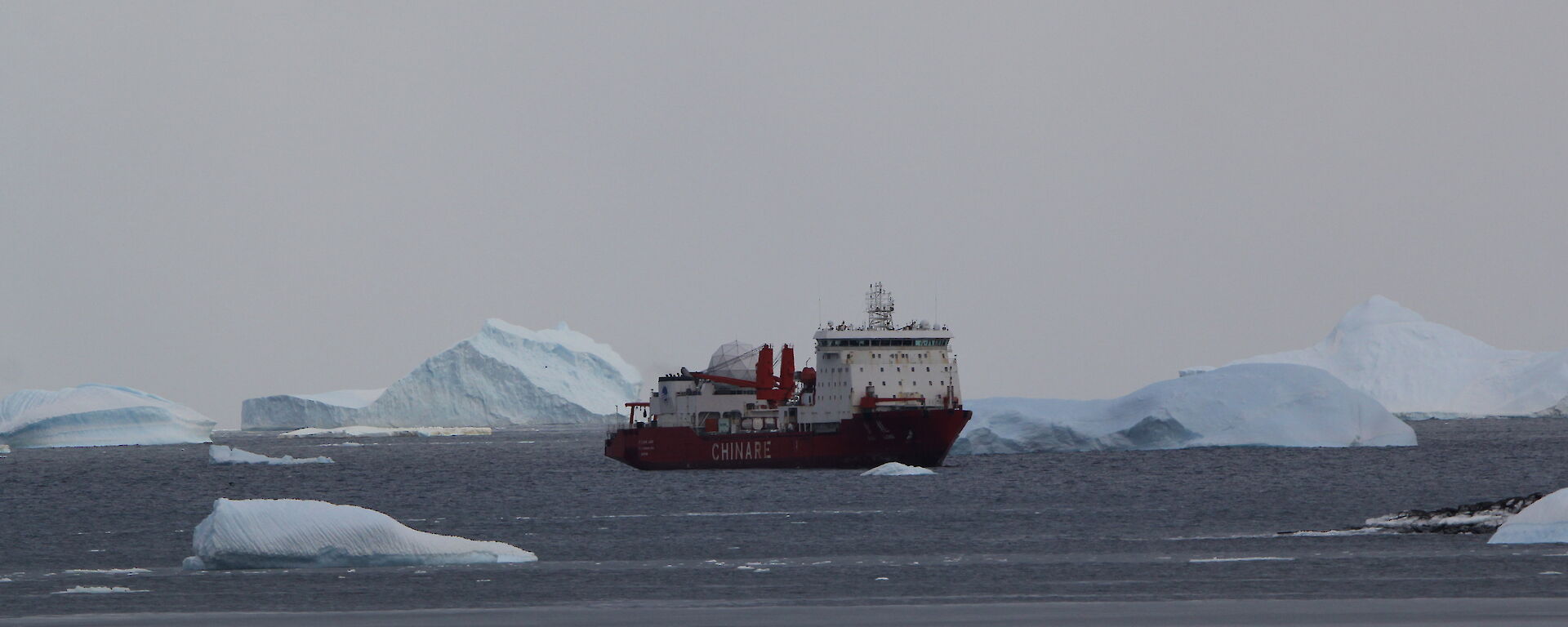 The Chinese ship the Xue Long sails amongst the many icebergs of the coast from Davis Station