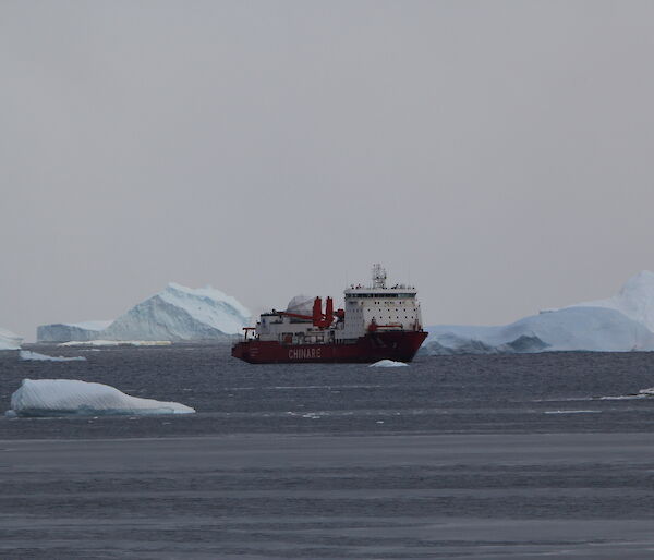 The Chinese ship the Xue Long sails amongst the many icebergs of the coast from Davis Station