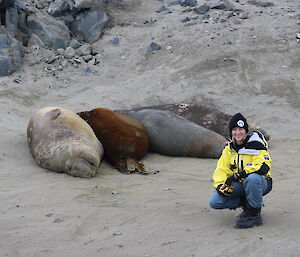 Jen Proudfoot crouching in front of a few of the seals that she counts on a daily basis — four sleeping in a row