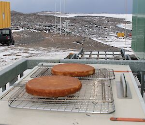 Two cakes outside the kitchen at Davis cooling in the minus 20 degree Celsius temperatures