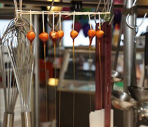 Caramelised hazelnuts hanging after dipping like minature toffee apples