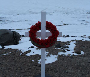 A cross and wreath of poppies at Davis on ANZAC day