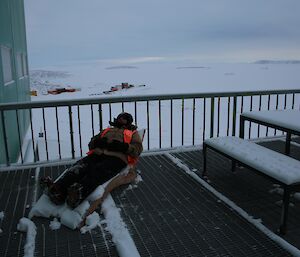 Aaron Stanley lying on a sun-lounger covered in snow on the balcony at Davis