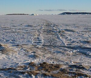 An elephant seal track in the sea ice near the beach wallow area at Davis