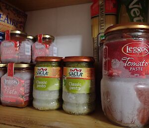 Jars of food inside on the shelf at Bandits — just a little frozen