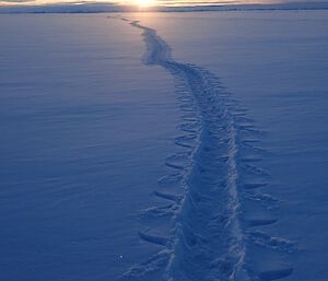 The trail made by an emperor penguin on the sea ice near Davis Station