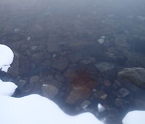 A view of the stones at the bottom of Deep Lake showing the clarity of the water