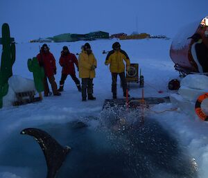 A Davis expeditioner enters the sea ice pool for the Midwinter swim while others look on