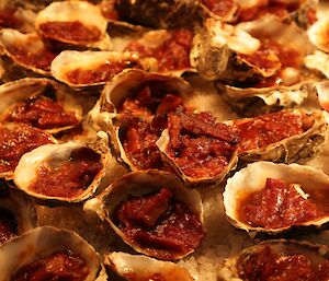 A plate full of Oysters Kilpatrick courtesy of Lesley our Chef