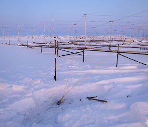 Two new guy ropes on the northern side of the array. This side bears the brunt of most blizzards