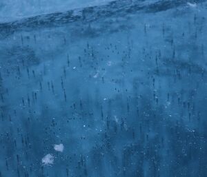 The almost transparent ice of a frozen freshwater lake in the Vestfold Hills