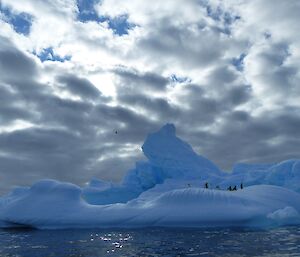 Adélie penguins on a large iceberg in Prydz Bay