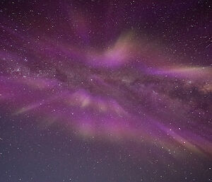 The aurora in magnificent purple hues above Davis recently