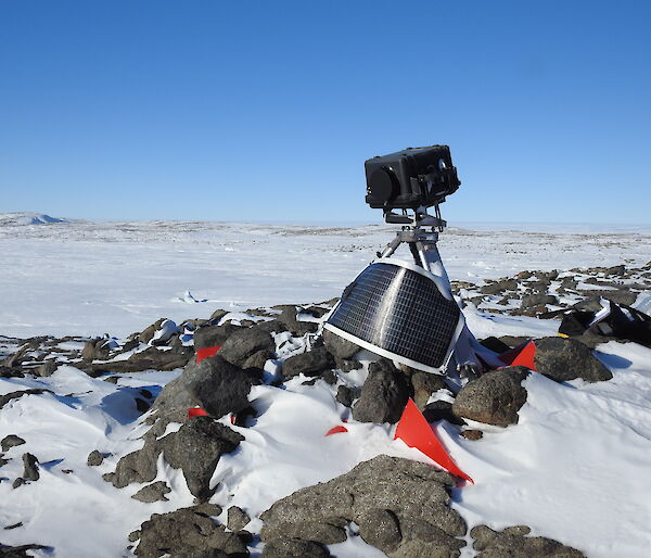 Hawker Island camera trained on Hawker Island giant petrel colony