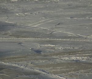 The cracks in the sea ice outboard of the tidal zone that occurred due to the passage of the low pressure system over Davis