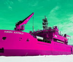 A picture of a pink Aurora Australis, so it will not clash with the PINK Hägglunds. This is the ship that will bring the pink Hägglunds to Davis in November.