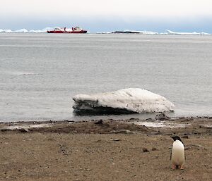 The Chinese ship the Xuelong in Prydz Bay during March