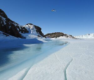 There is a pool of crystal blue water, lying on top of sea-ice, abutting an Pintado Island.