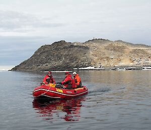 Daleen is driving an inflatable rubber boat. She has three passengers. The island behind them is covered in penguins.