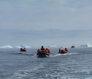 Three Zodiacs and the Wyatt Earp boat, are seen cruising off-shore, Icebergs line the horizon.