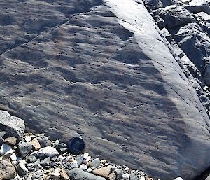 Scratched marks in the rocks indicate wear from the ice as the glacier travelled over the rocks in geological time.
