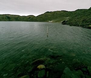 A photo of the measuring pole in the lake.