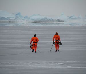 Two expeditioners roped together, walking on the sea ice between coring sites. In the background are icebergs.