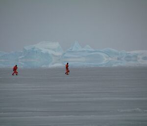 Two expeditioners walk on the sea ice. Behind them icebergs appear stretched because of the mirage or fata morgana.