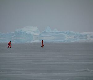 Two expeditioners walk on the sea ice. Behind them icebergs appear stretched because of the mirage or fata morgana.