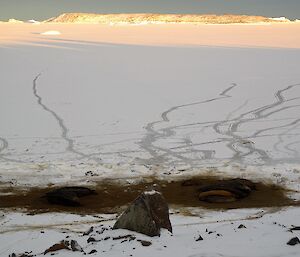 A brown stain on the beach shows where the elephant seals are resting ashore. Out on the sea-ice you can see trails through the snow where the seals have moved out towards the ice edge, trying to find open ocean.