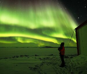 Shooey’s silhouette against an aurora.