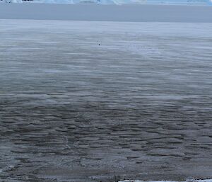 The ice edge just off station in Prydz Bay.