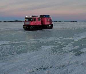 Opal, the pink Hägg, out on the sea ice.